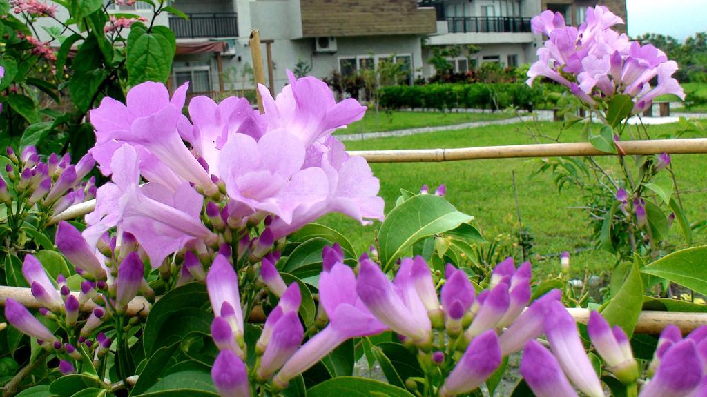 Гостьовий будинок Maple Feeling Vacation Farm Гуангфу Екстер'єр фото